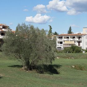 Apartments Ana Rovinj