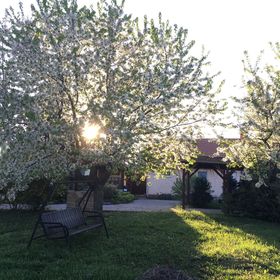 Levendula Vendégház Borsodivánka