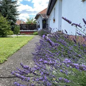 Levendula Vendégház Borsodivánka