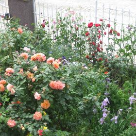 Valloris Apartments Hévíz