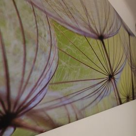 Zsejka Apartman Debrecen