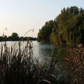 Nagyfoki Alfi Nyaraló Szarvas