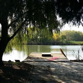 Nagyfoki Alfi Nyaraló Szarvas