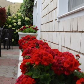 Panoráma Vendégház**** Badacsony