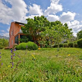 Apartmani Pinka Seline