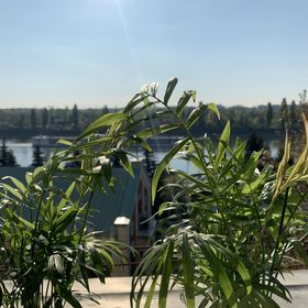 Glamour Apartman Budapest