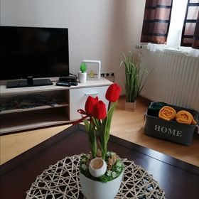 Beatrix Apartman Bükfürdő