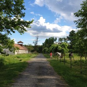 Gyógynövénylak Vendégház Zalaszentlászló