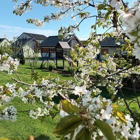 Apartamenty i Domki u Basi Grodzisko