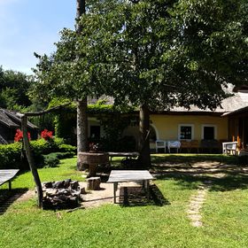 Tamás Bátyó Gunyhója Vászoly