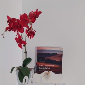 Orchidea Apartman Veszprém