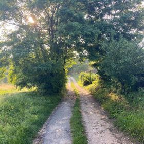 Forrás Vendégház Bakonyjákó