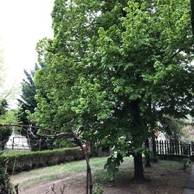 Sutka Vendégház Cserkeszőlő