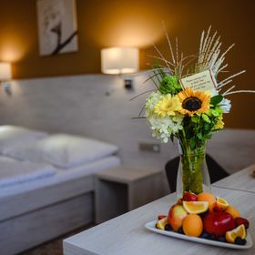 HOTEL VEGA Luhačovice