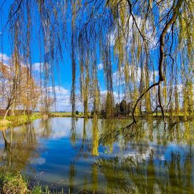 Penzion Dvorce Třeboň