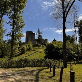 Penzion Landštejnský dvůr Staré Město pod Landštejnem