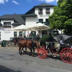 BRUSENKA Restaurant a pension Brusné