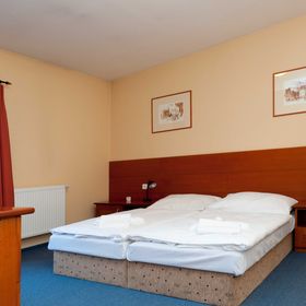 Zelená Žába Pardubice