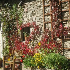 Vinický dvůr Omlenice