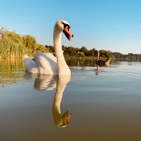 Desiparti Apartman Kaposvár