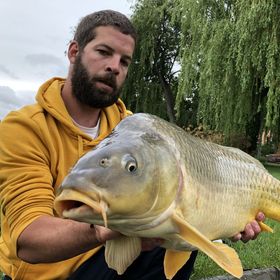 Desiparti Apartman Kaposvár