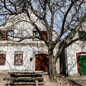 Berger Pince és Vendégház Hajós