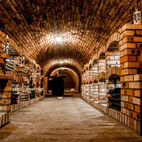 Berger Pince és Vendégház Hajós