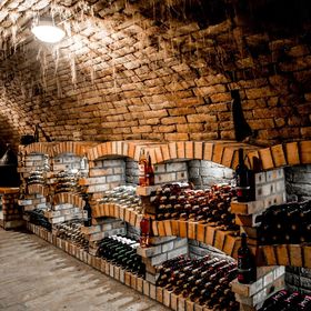 Berger Pince és Vendégház Hajós