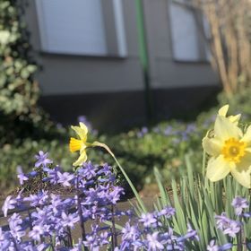 Gerda Vendégház Cserkeszőlő