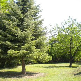 Vadrózsa Apartmanház Poroszló