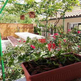 Apartment Sunčica Pula