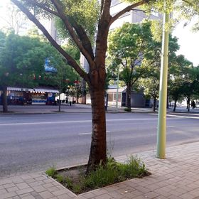 Centrum Apartman Szolnok