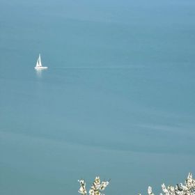 Ronyhome Balatongyörök