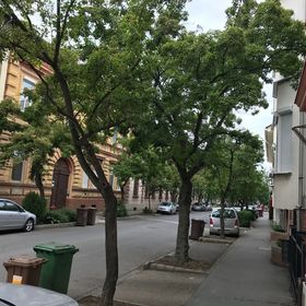 Classic Apartman Szeged