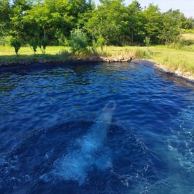 Rezi-dencia Gyógynövényfalu Rezi