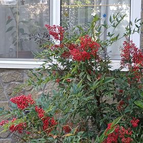 Vízközeli Vendégszoba Balatonfüred