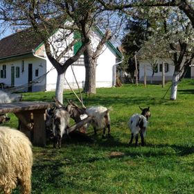 Racka Vendégház és Jurtaszállás Erdősmecske