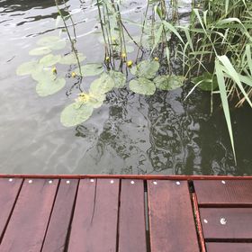 Duna Beach Nyaraló Dömsöd