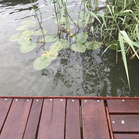 Duna Beach Nyaraló Dömsöd