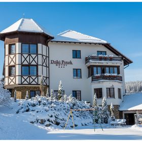 Hotel Dziki Potok Konferencje & SPA