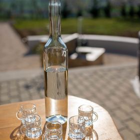 Vándortyúk Vendégház Magyarszék