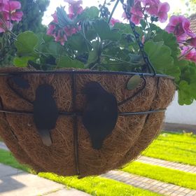 Viktória Vendégház Békéscsaba