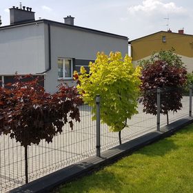 Apartament Angelo Sosnowiec