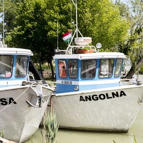 Akvárium Apartmanházak Keszthely