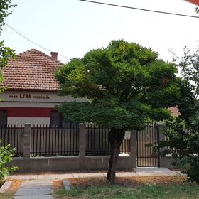 Lyna Vendégház Gyomaendrőd