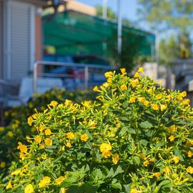 Apartment Vjeko Malinska