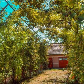 Casa de oaspeți Sepsi-Szék Sfântu Gheorghe