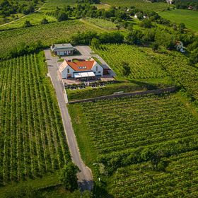 Vitis Kúria Balatonrendes