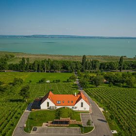 Vitis Kúria Balatonrendes