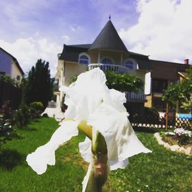 Tristan Apartman Szántód